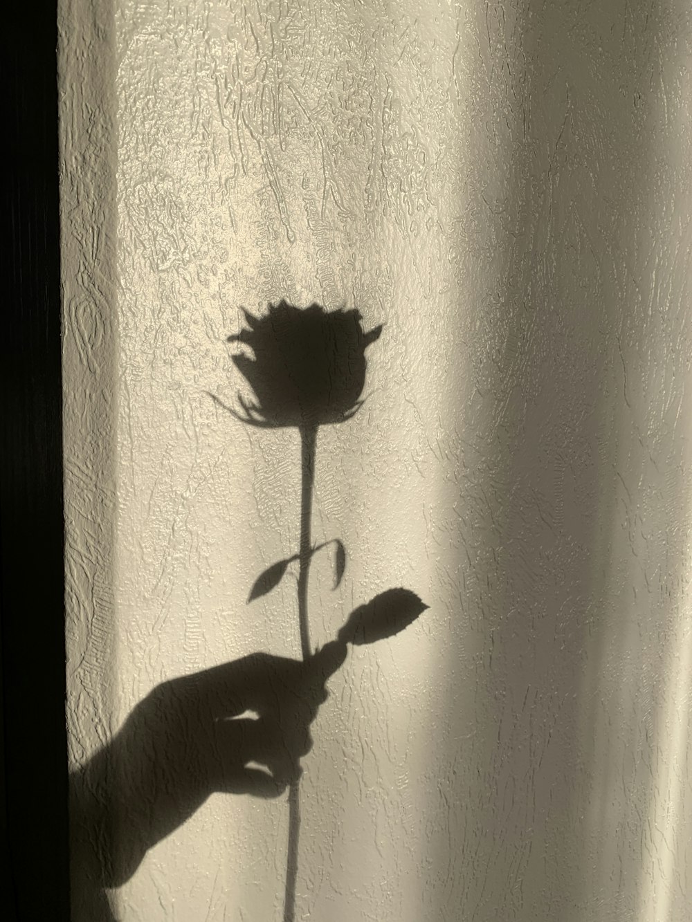 a shadow of a person holding a flower