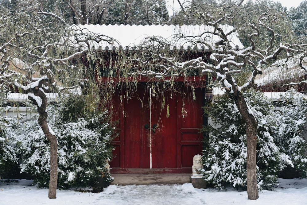 a red door surrounded by snow covered trees