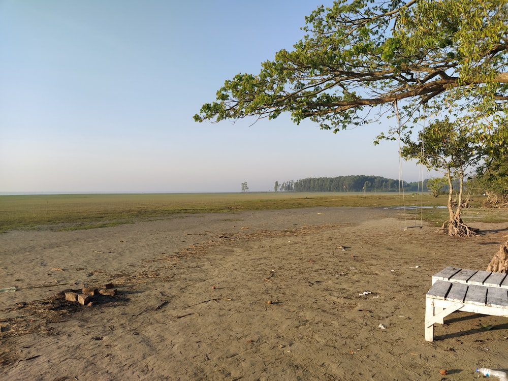 a wooden bench sitting on top of a sandy beach