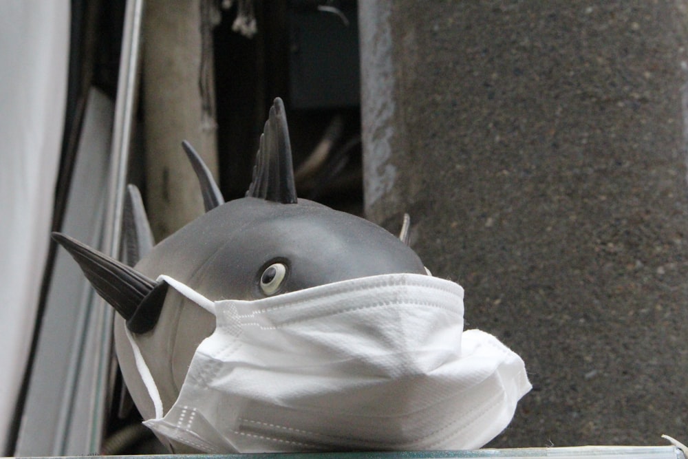 a bird wearing a face mask on top of a window sill