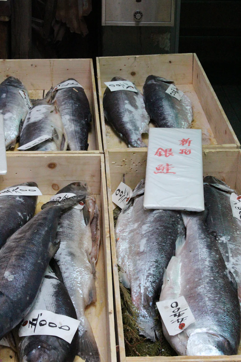 Tour gastronómico por el mercado de Kuromon