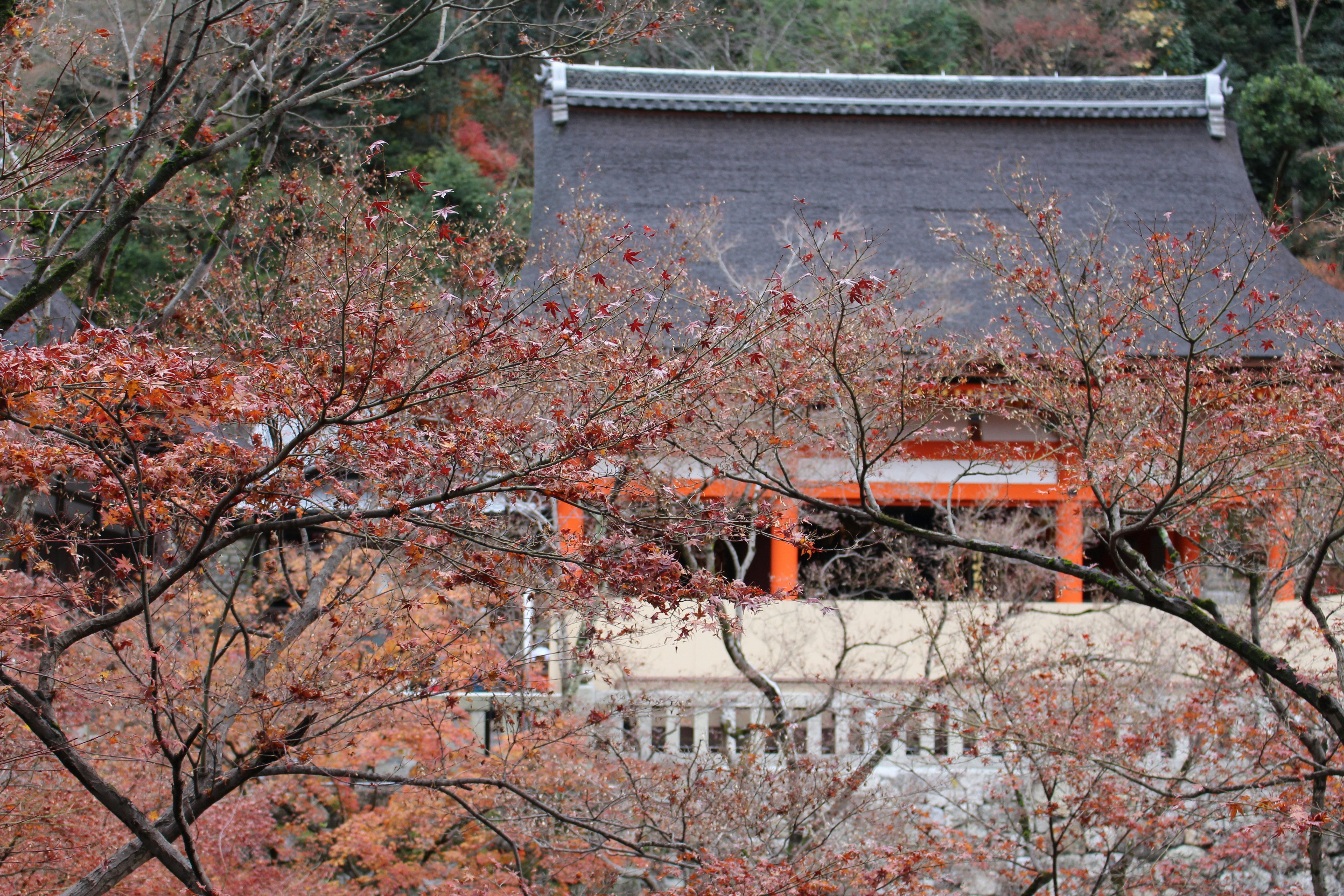 a building with a red roof surrounded by trees