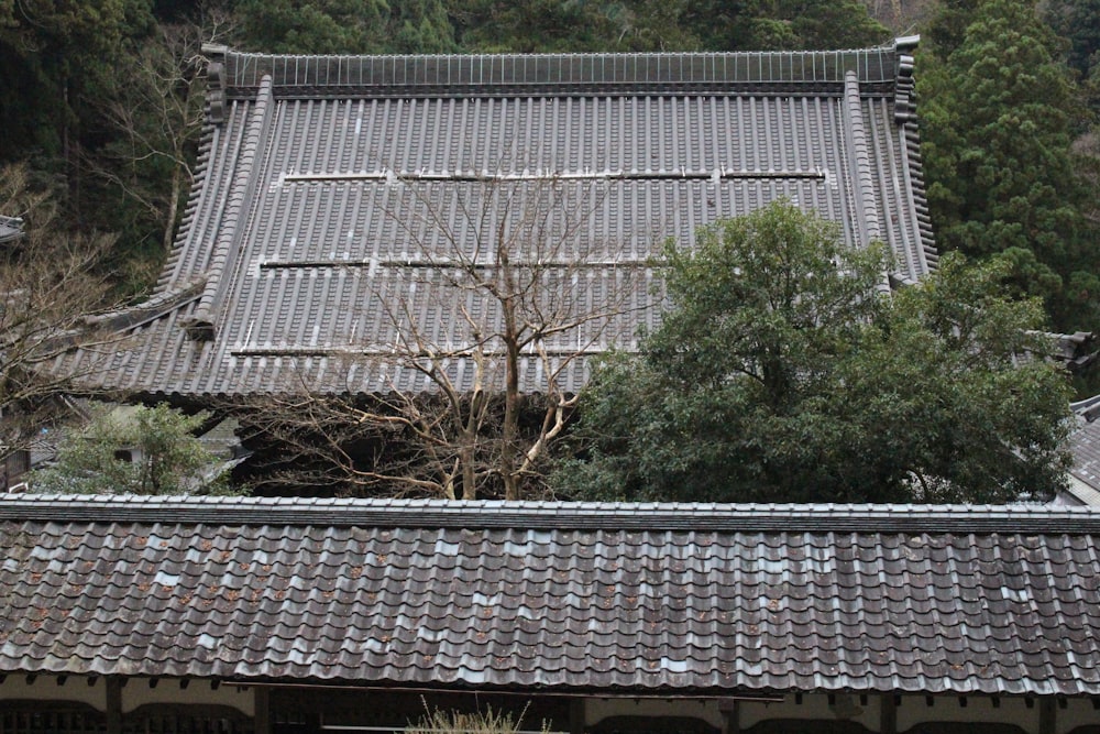 a building with a tree in front of it