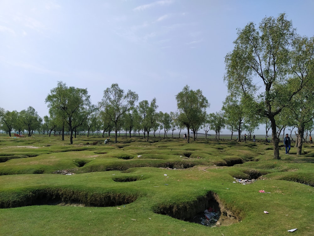 a grassy field with trees and a hole in the middle