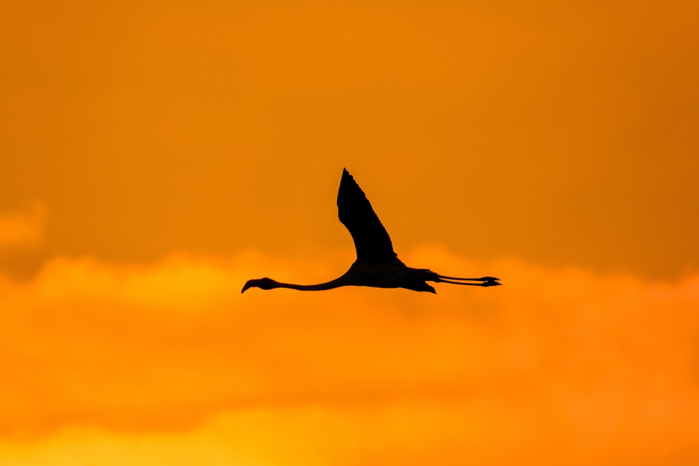 a large bird flying through a yellow sky
