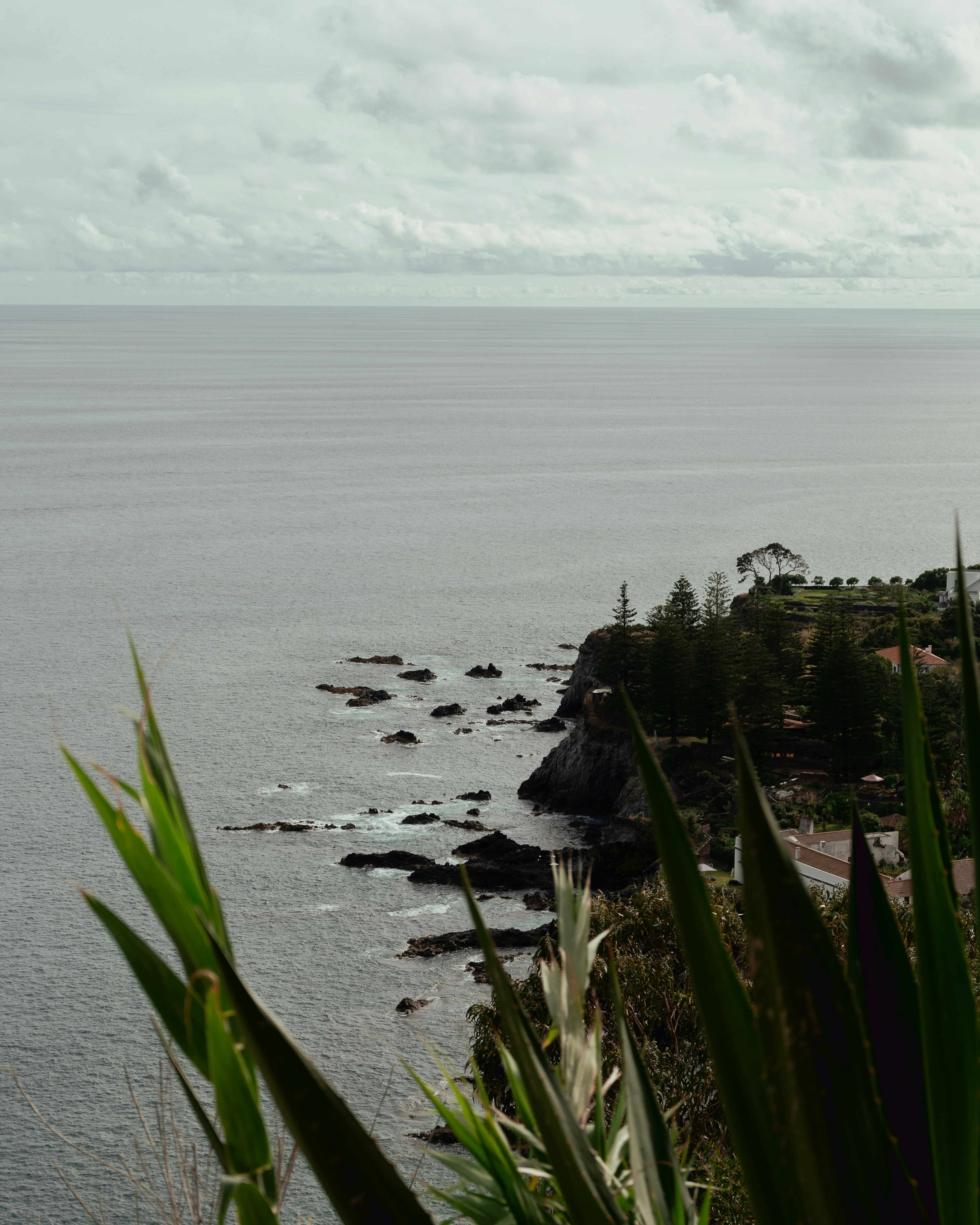 Where to Eat: Real Food on a Remote Archipelago