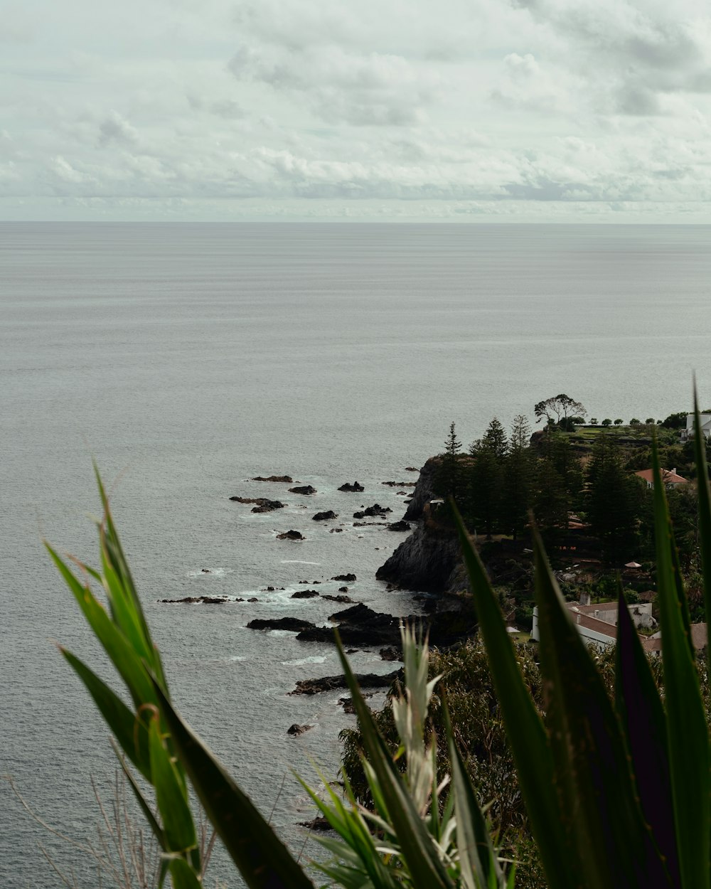 a large body of water sitting next to a lush green hillside