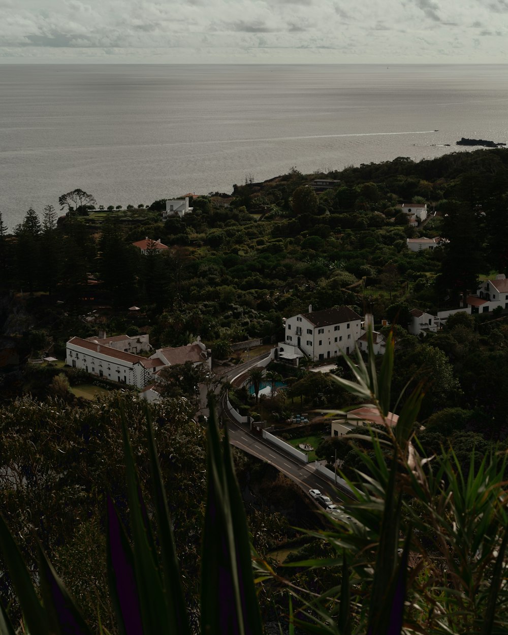 a view of the ocean from a hill