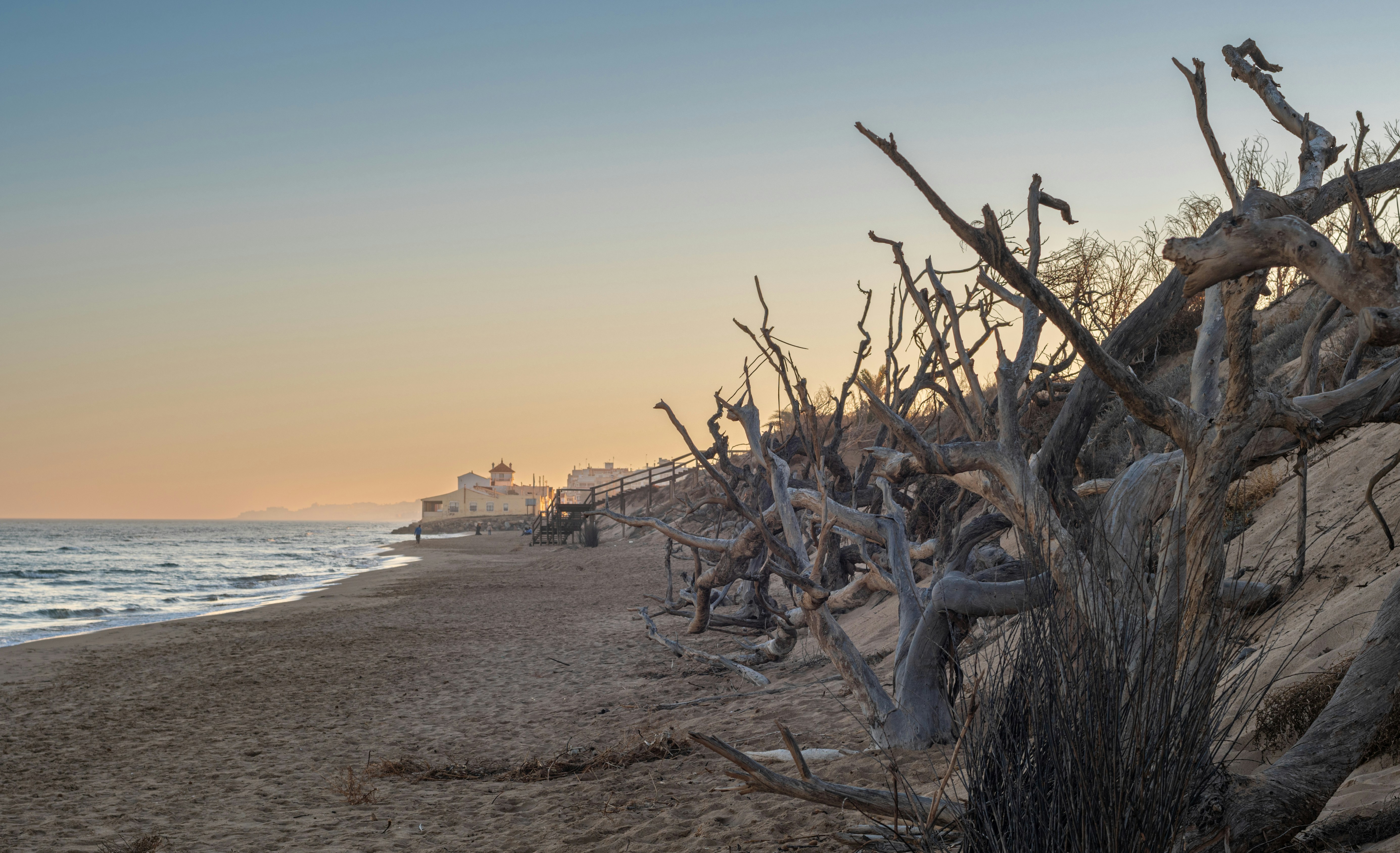 Photo by nataliaraylenegusakova