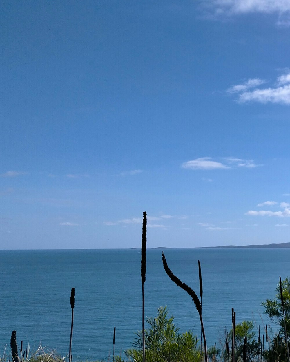 a view of a body of water from a hill