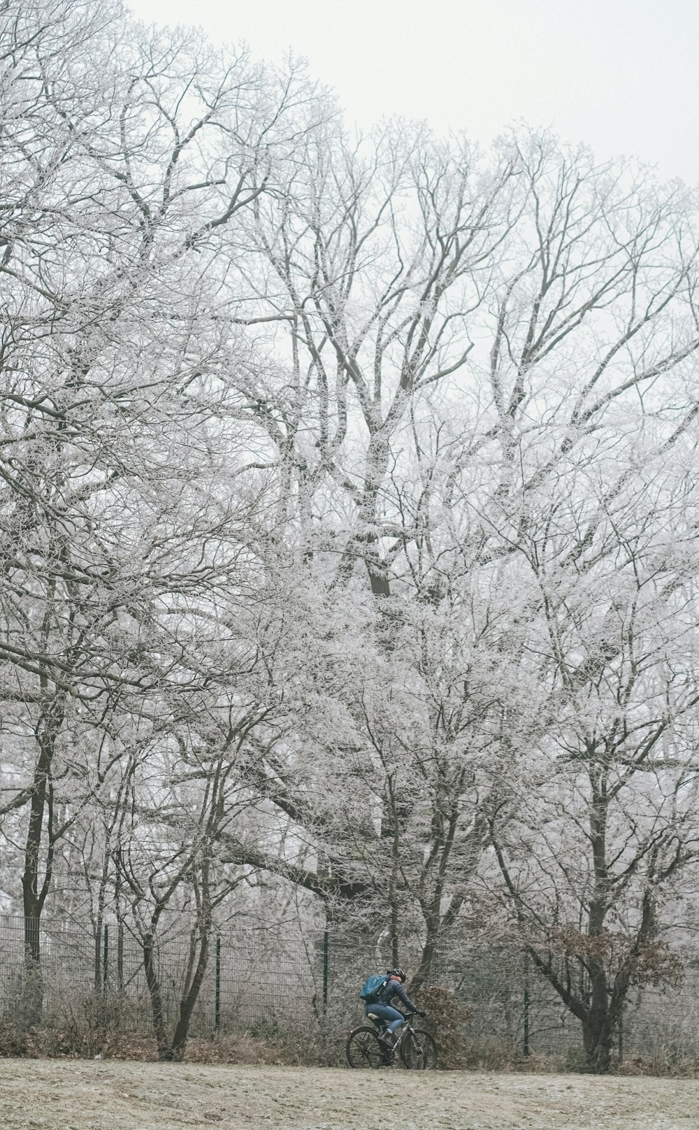 a person riding a bike in a snowy park