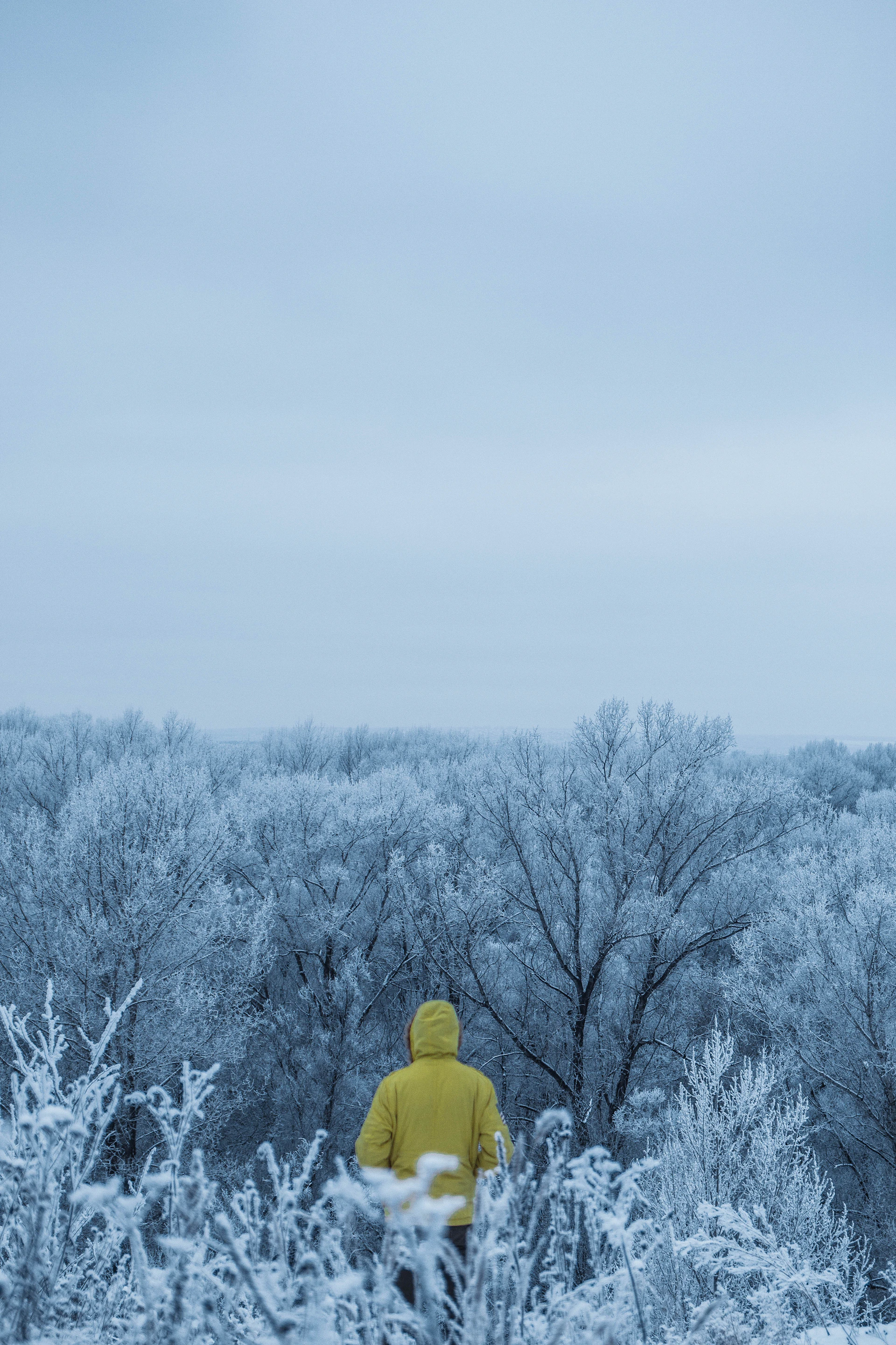 a person in a yellow jacket standing in a snowy field