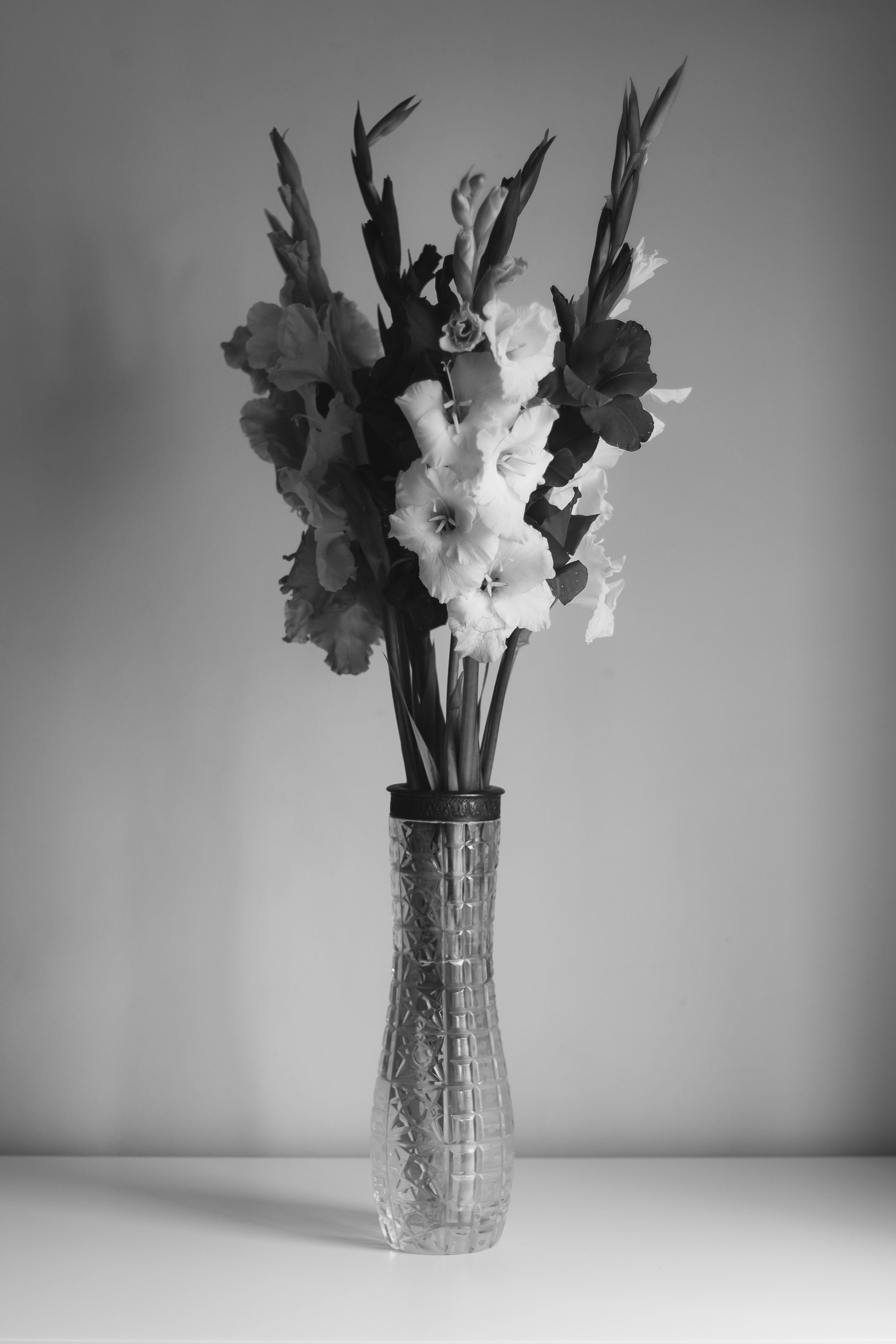 a black and white photo of flowers in a vase