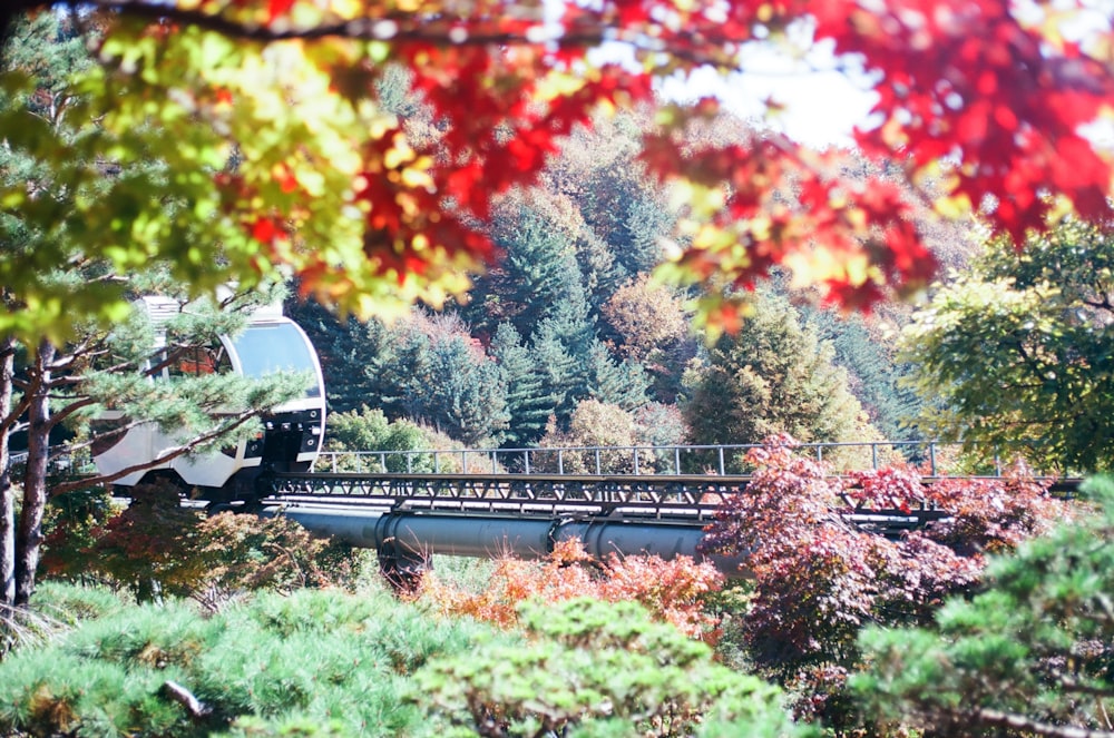 a train traveling over a bridge surrounded by trees