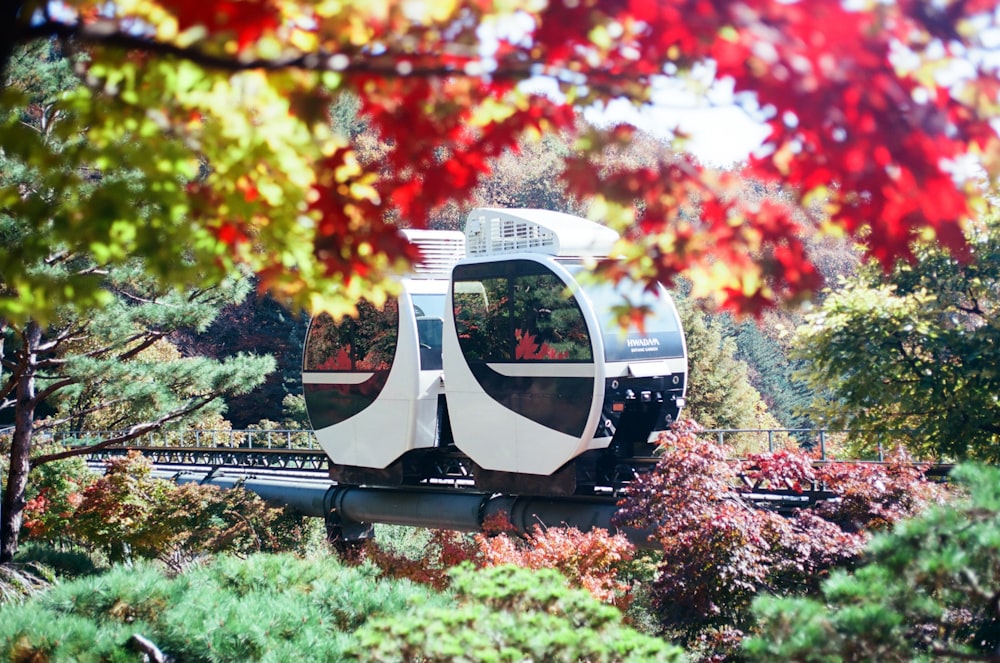 a white train traveling through a lush green forest