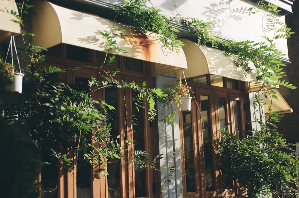 a building that has a bunch of plants on it