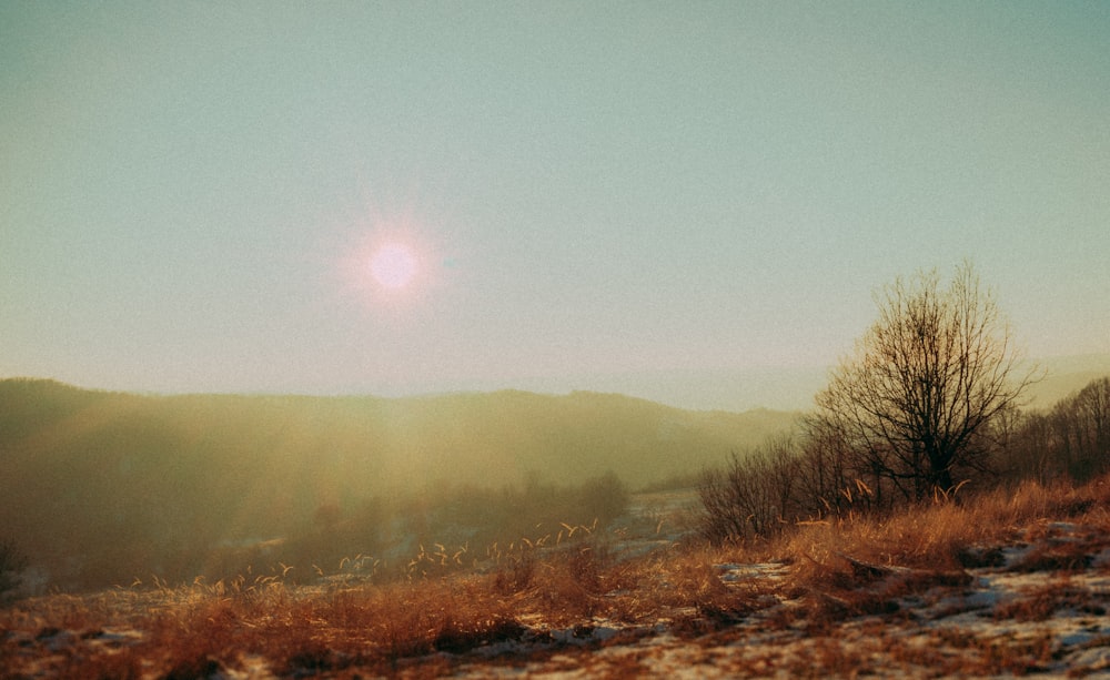 the sun shines brightly over a snowy landscape