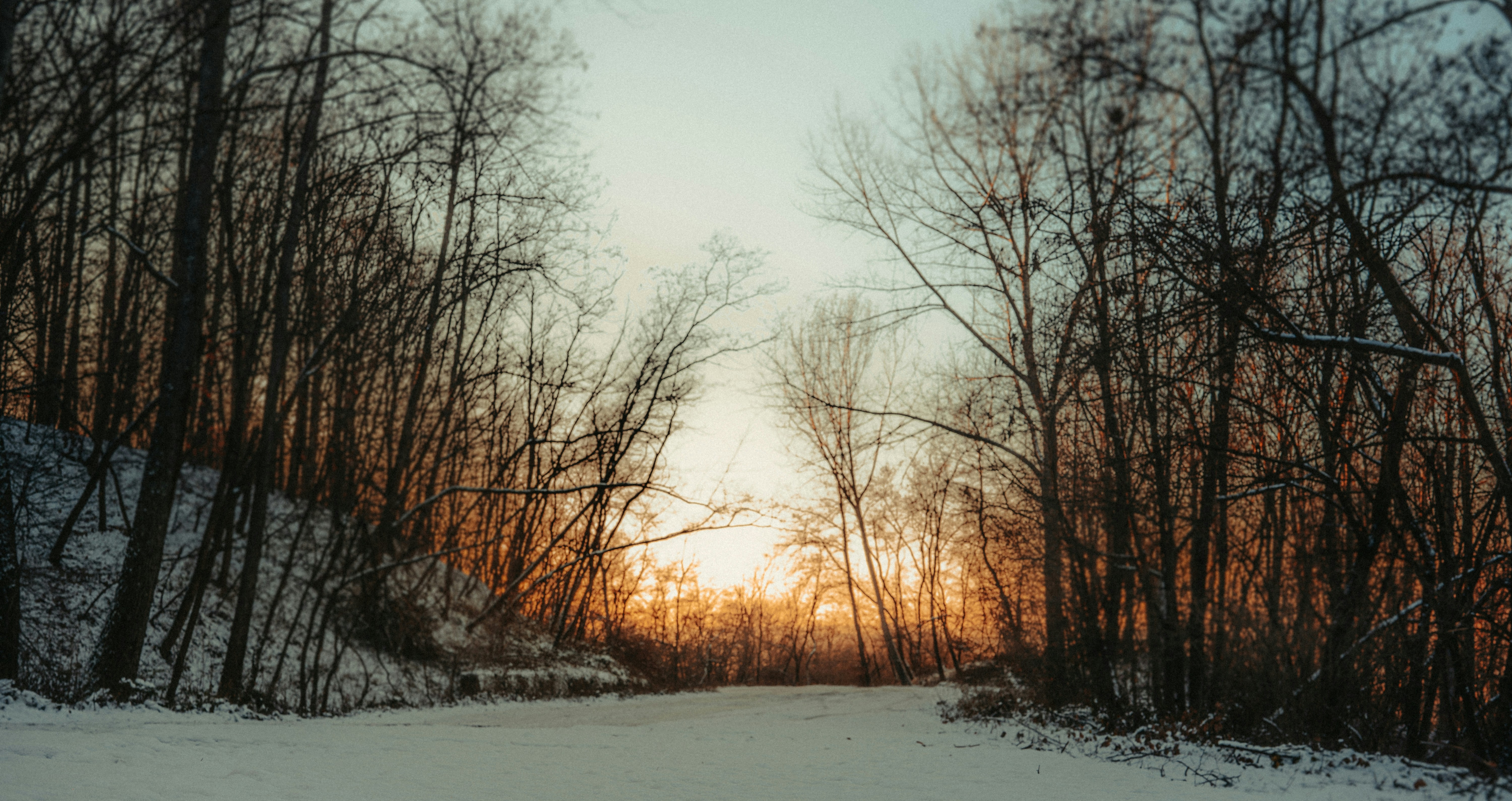 Photo by calinrazvanfotograf