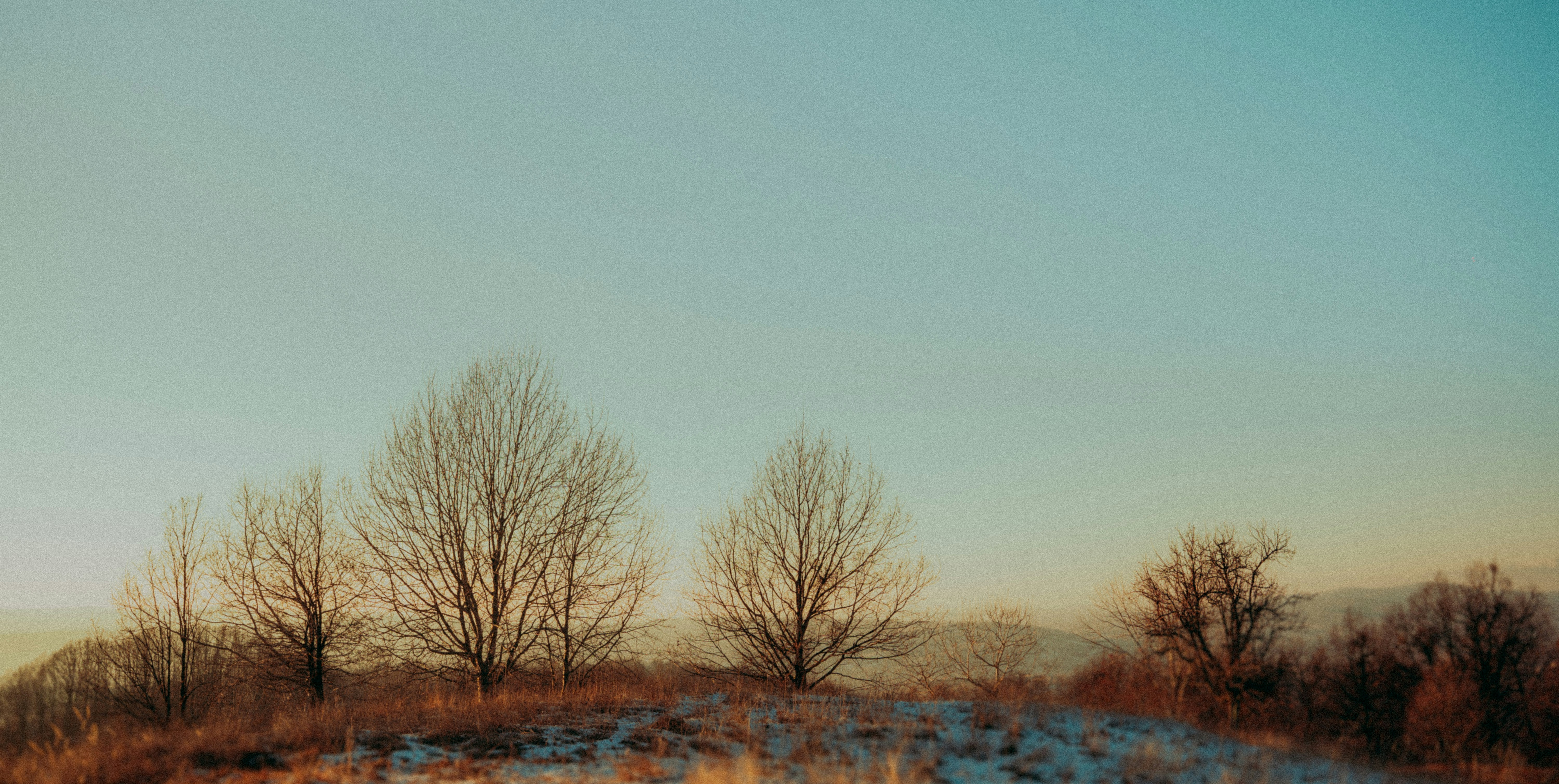 Photo by calinrazvanfotograf