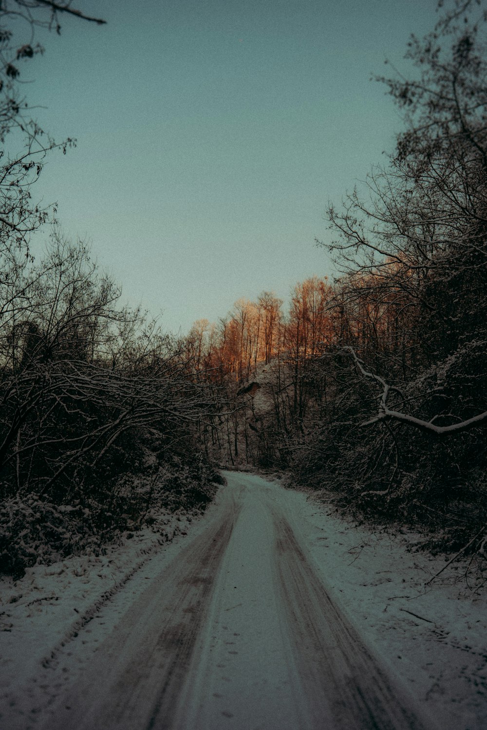 a snow covered road in the middle of a forest