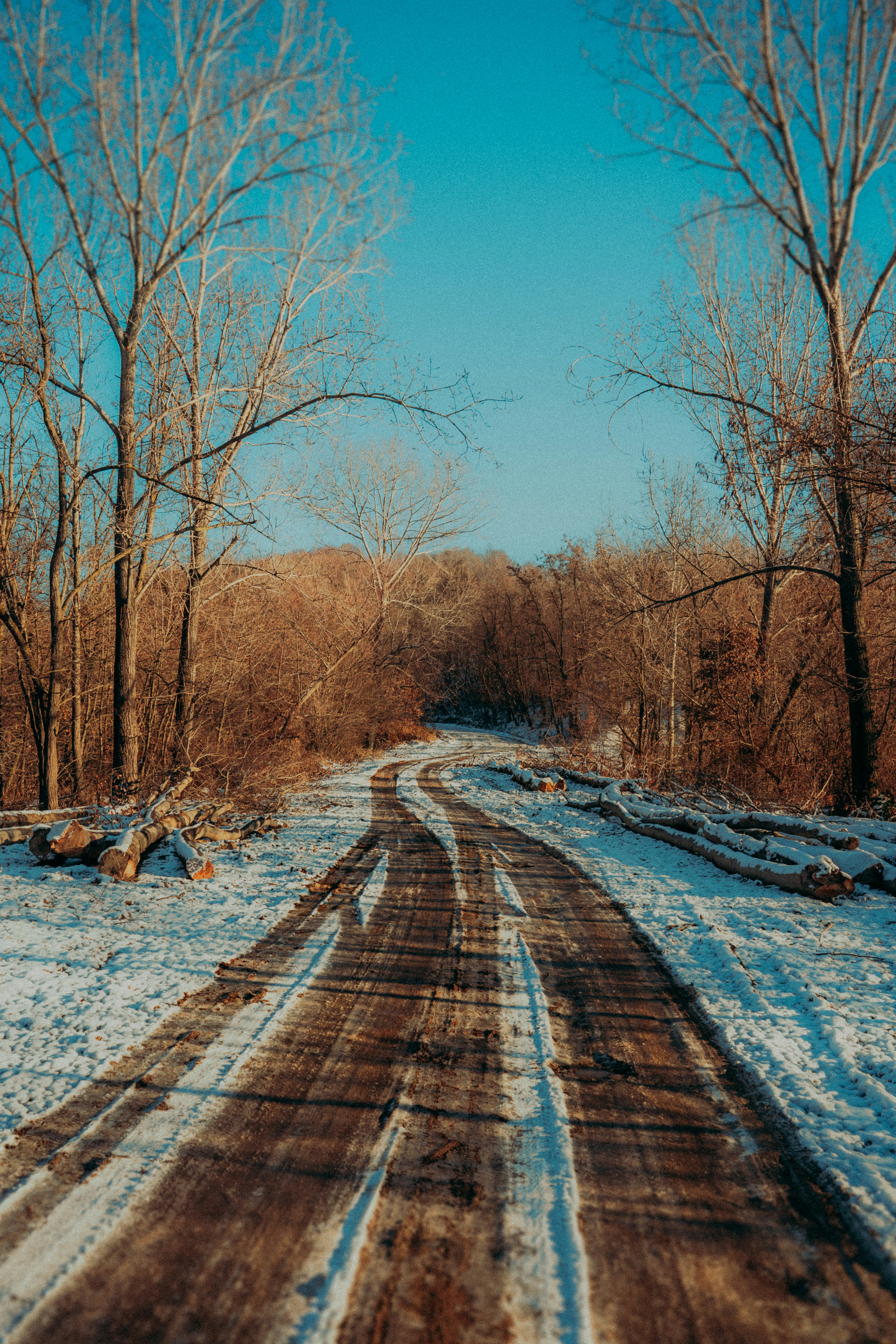 Photo by calinrazvanfotograf