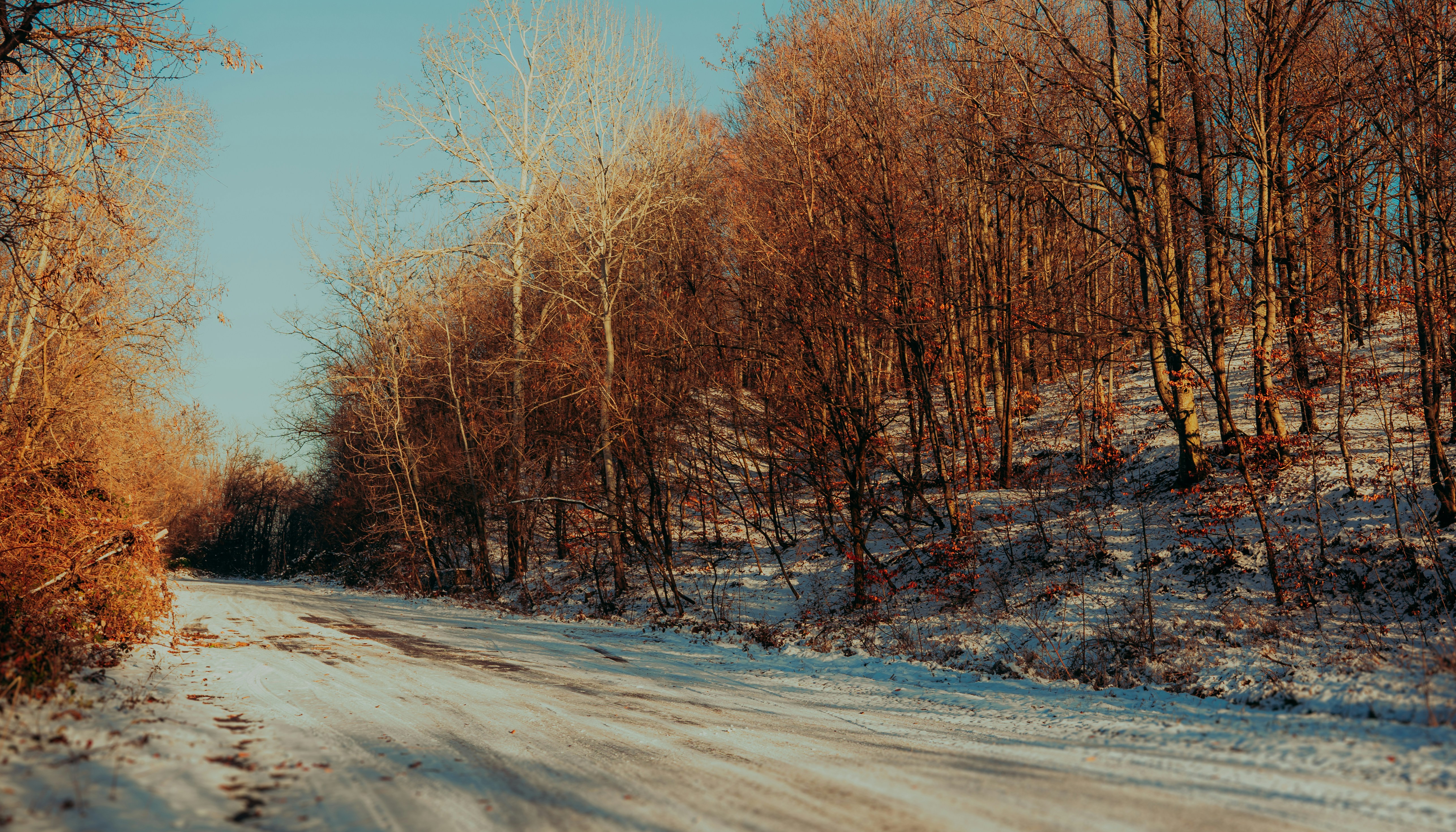 Photo by calinrazvanfotograf