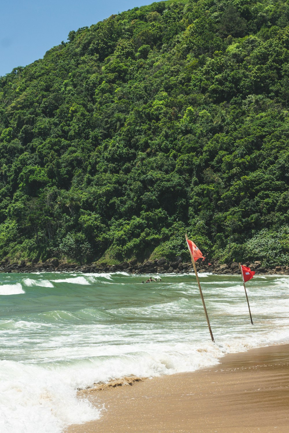 two flags sticking out of the water on a beach