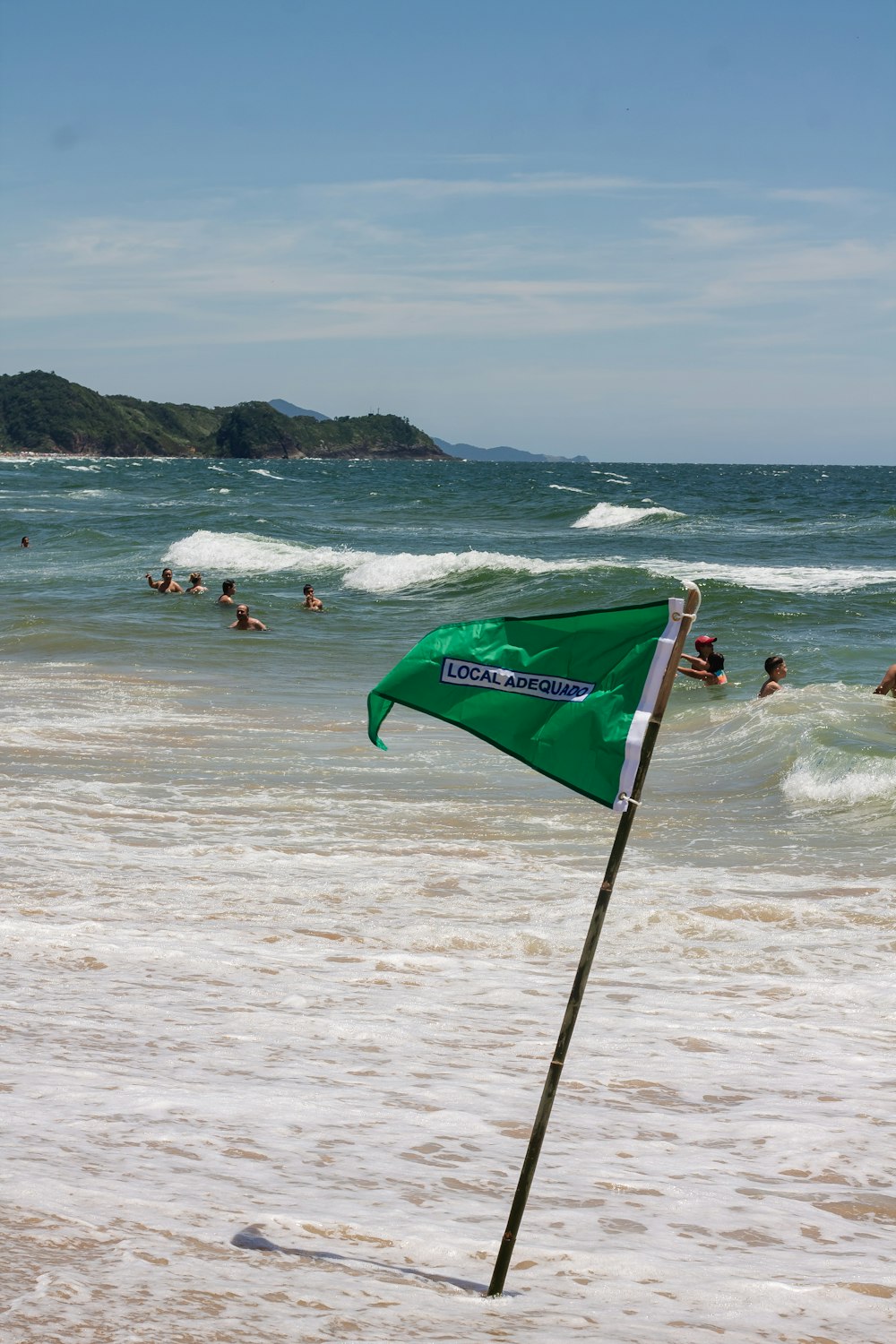 a green flag sticking out of the sand of a beach