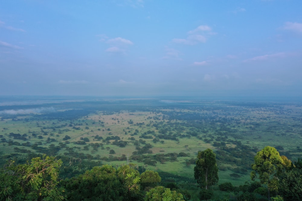 a view of a lush green field with trees