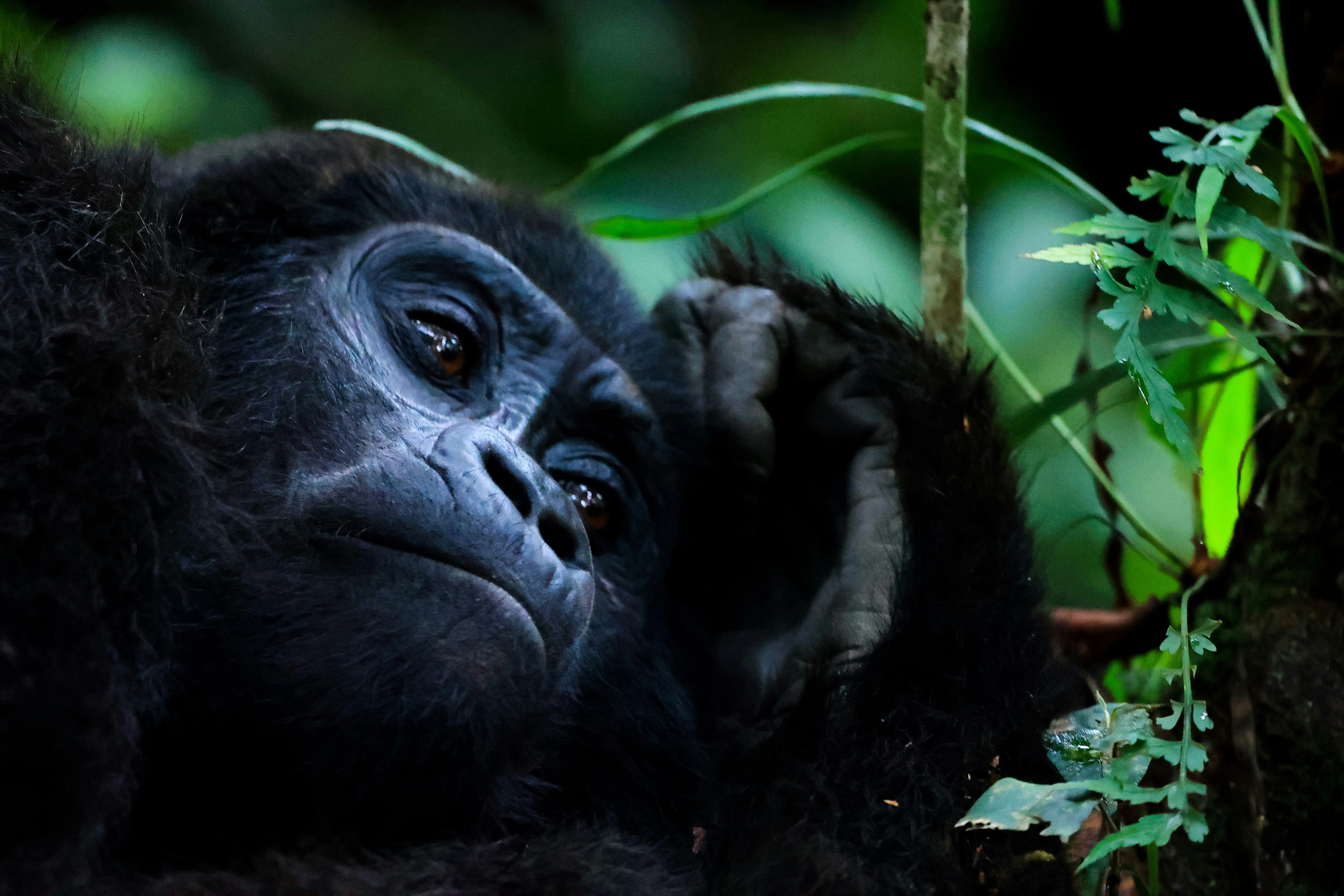 Photo by clintonmwebaze