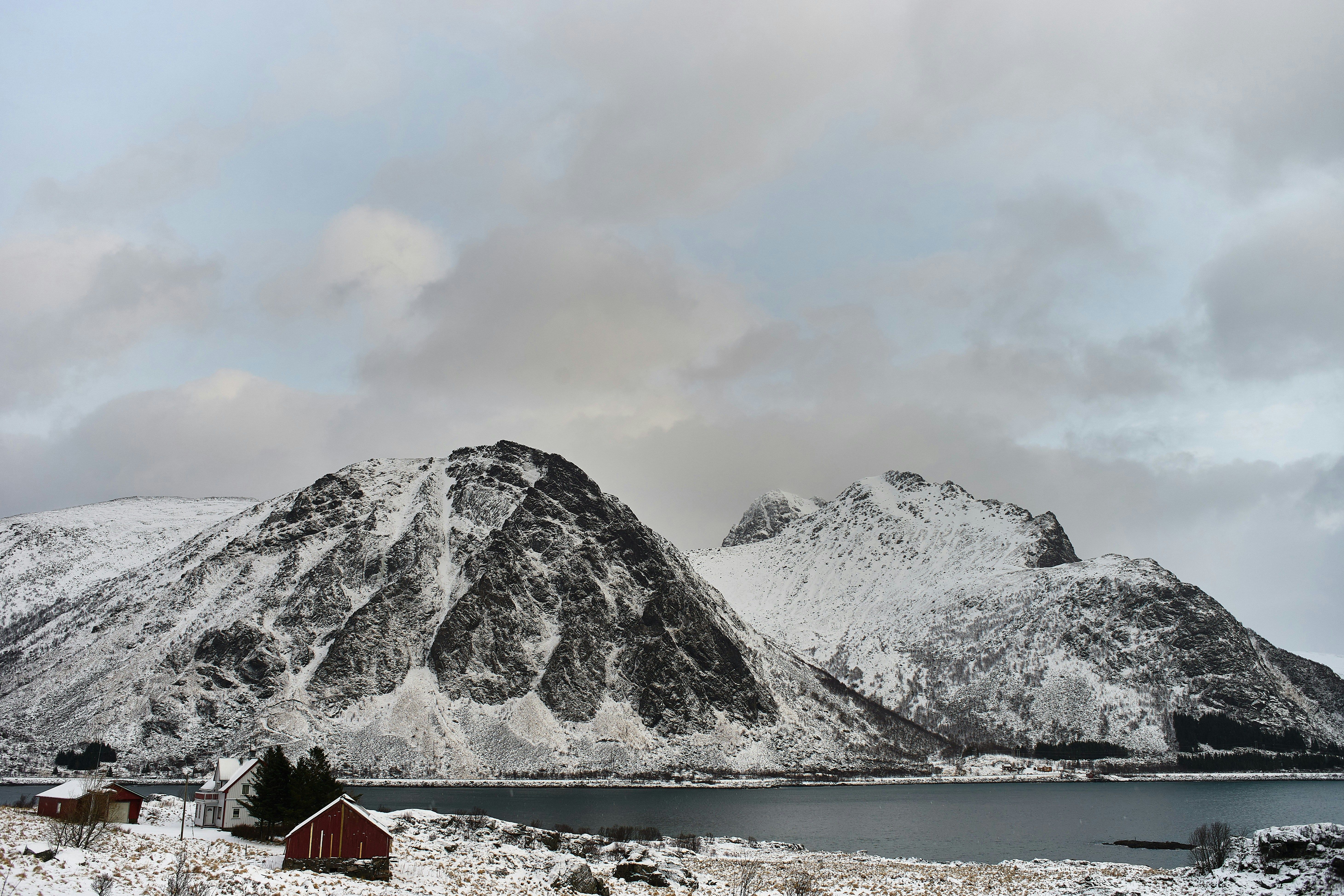 Photo by wolfgang_hasselmann