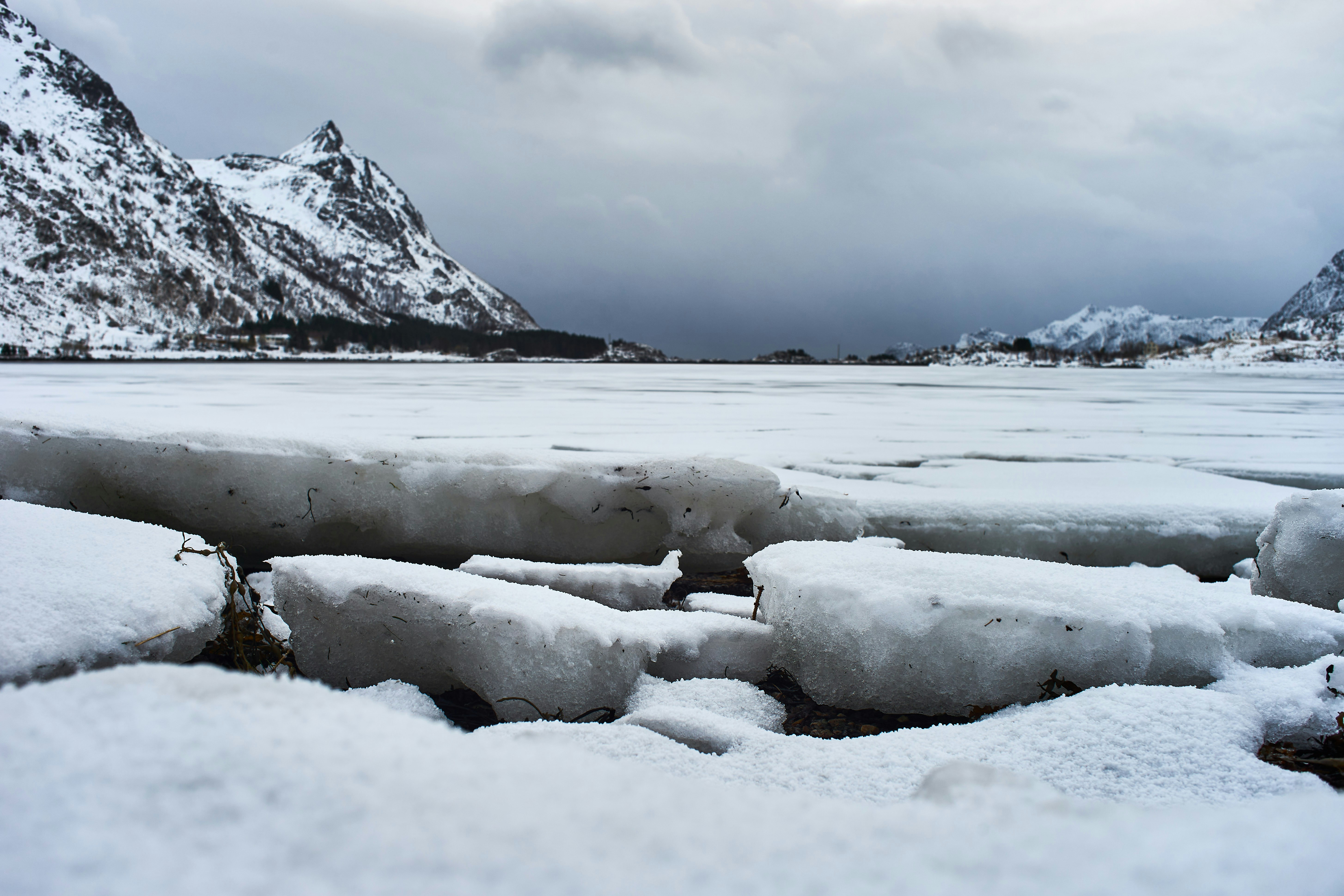 Photo by wolfgang_hasselmann