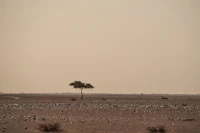 Hidden and Underrated Cafes in Marari That Most Tourists Miss