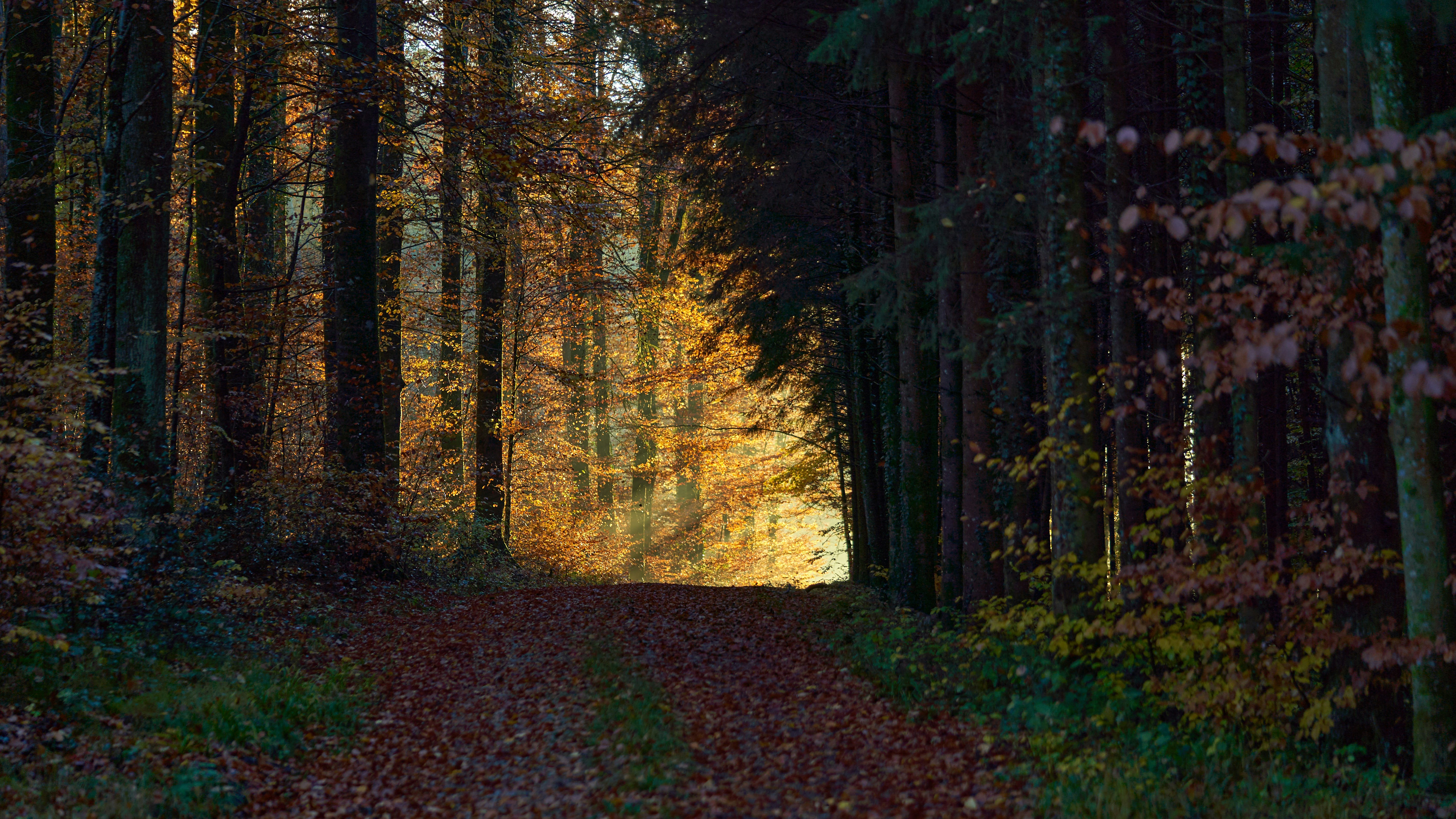 Photo by wolfgang_hasselmann