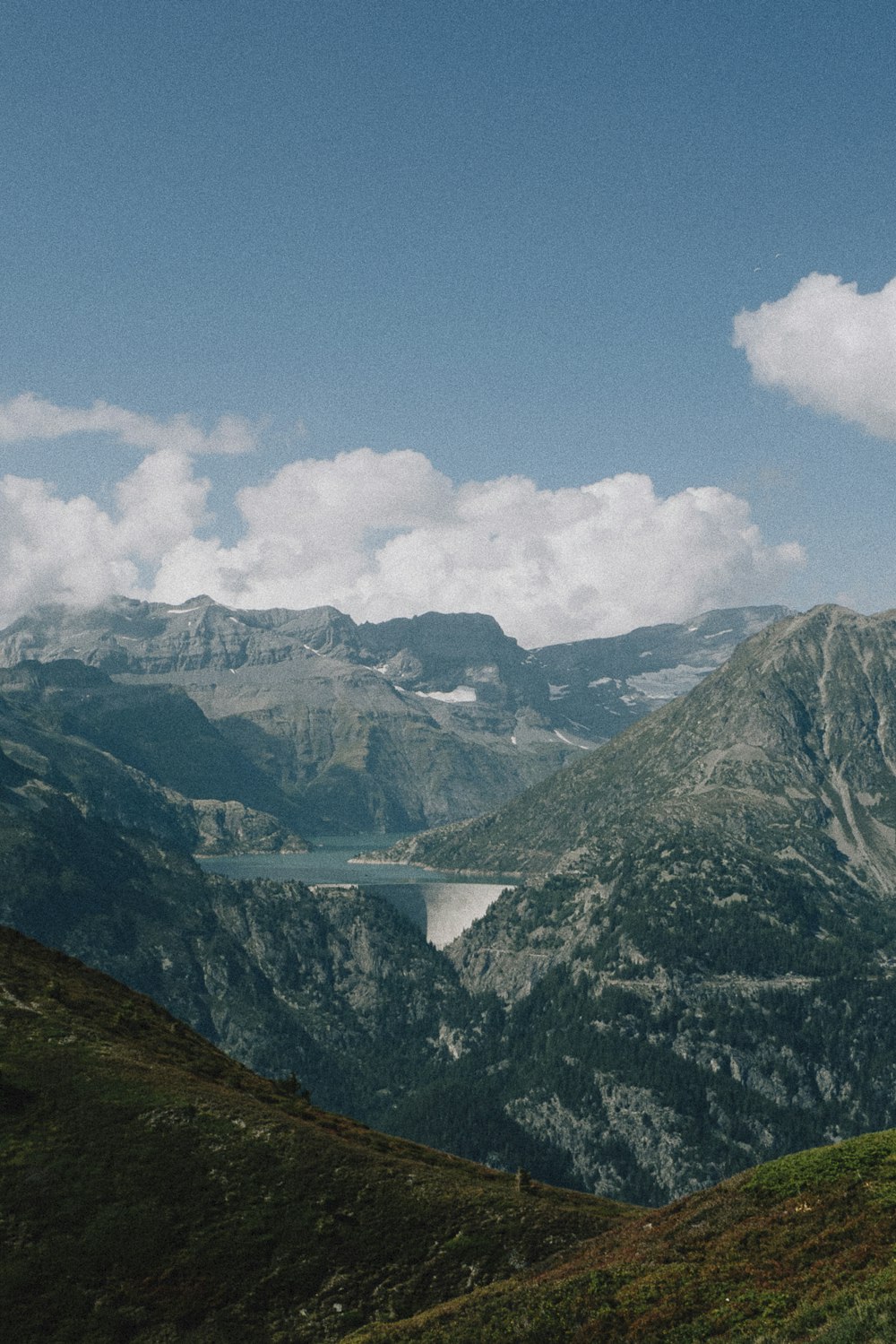 a couple of sheep standing on top of a lush green hillside