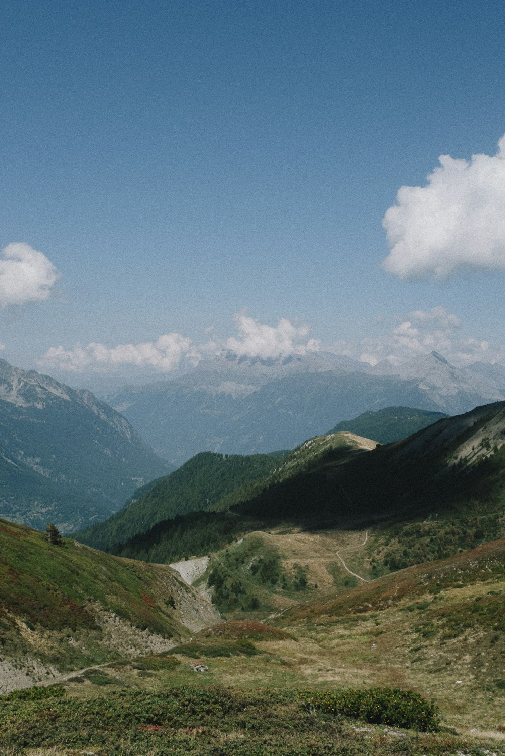 a view of a valley with mountains in the background