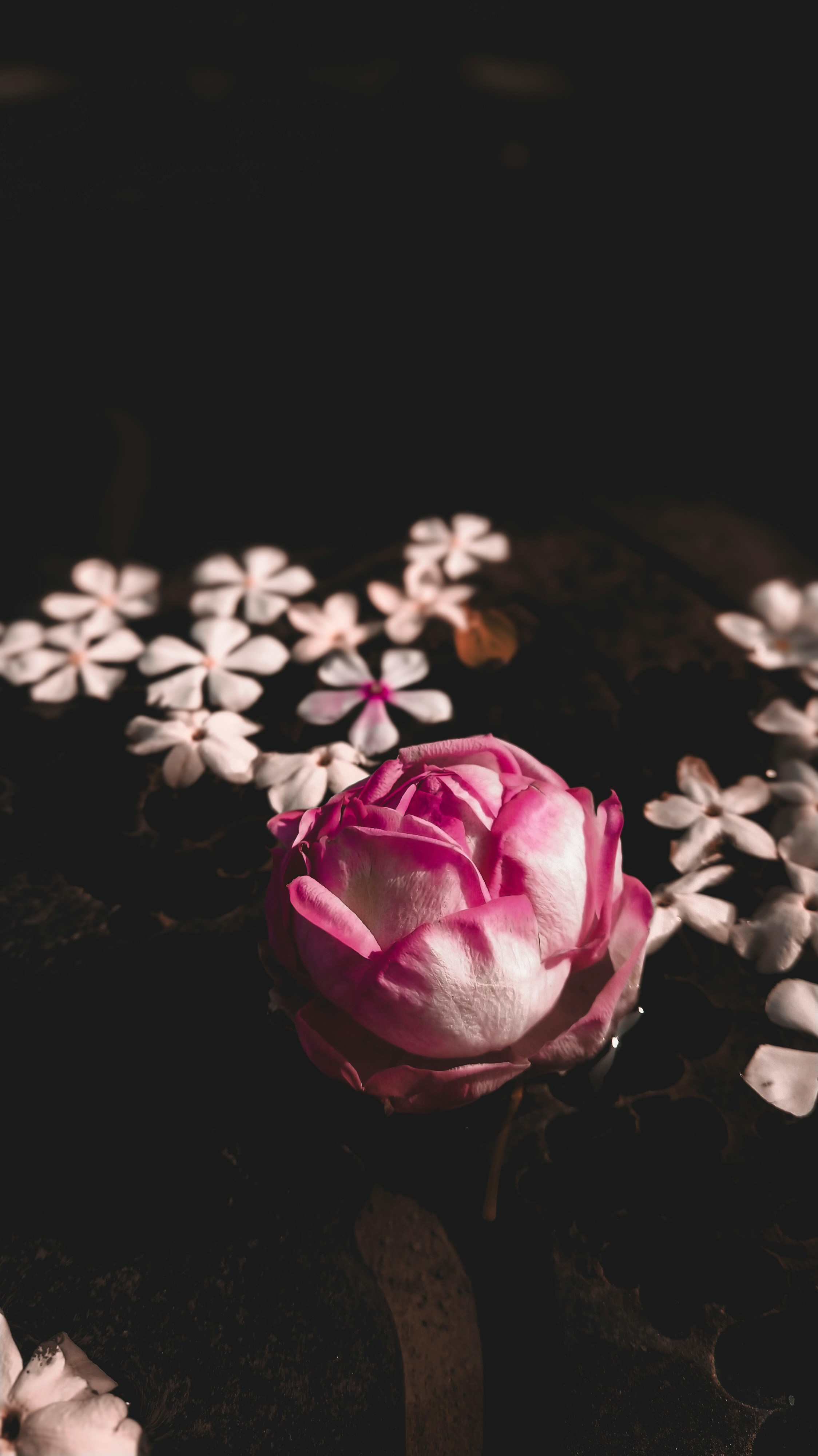 Photo by theclickfilms