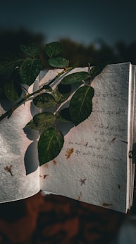 an open book with writing on it and a leaf