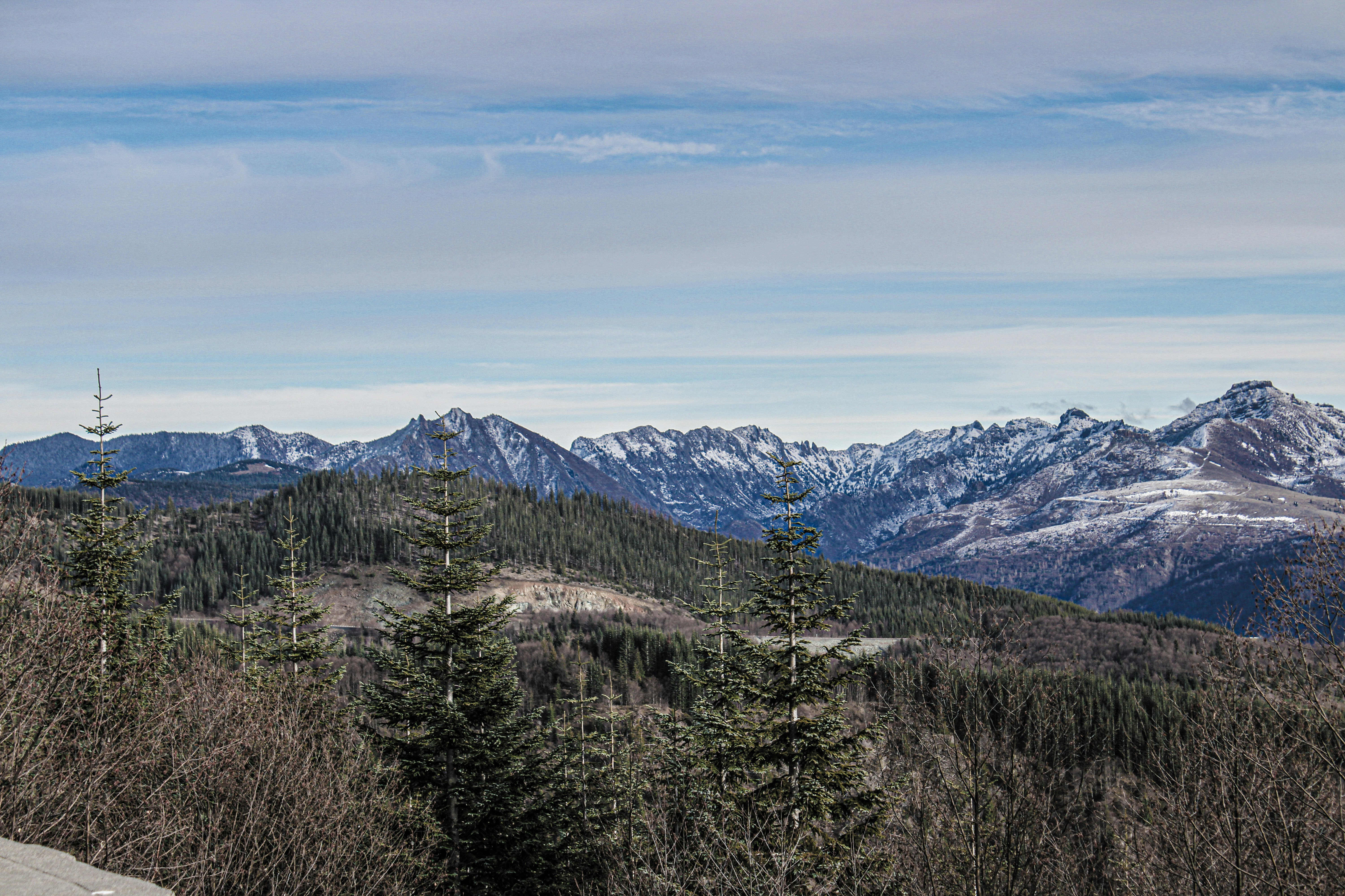 Photo by prphotography262