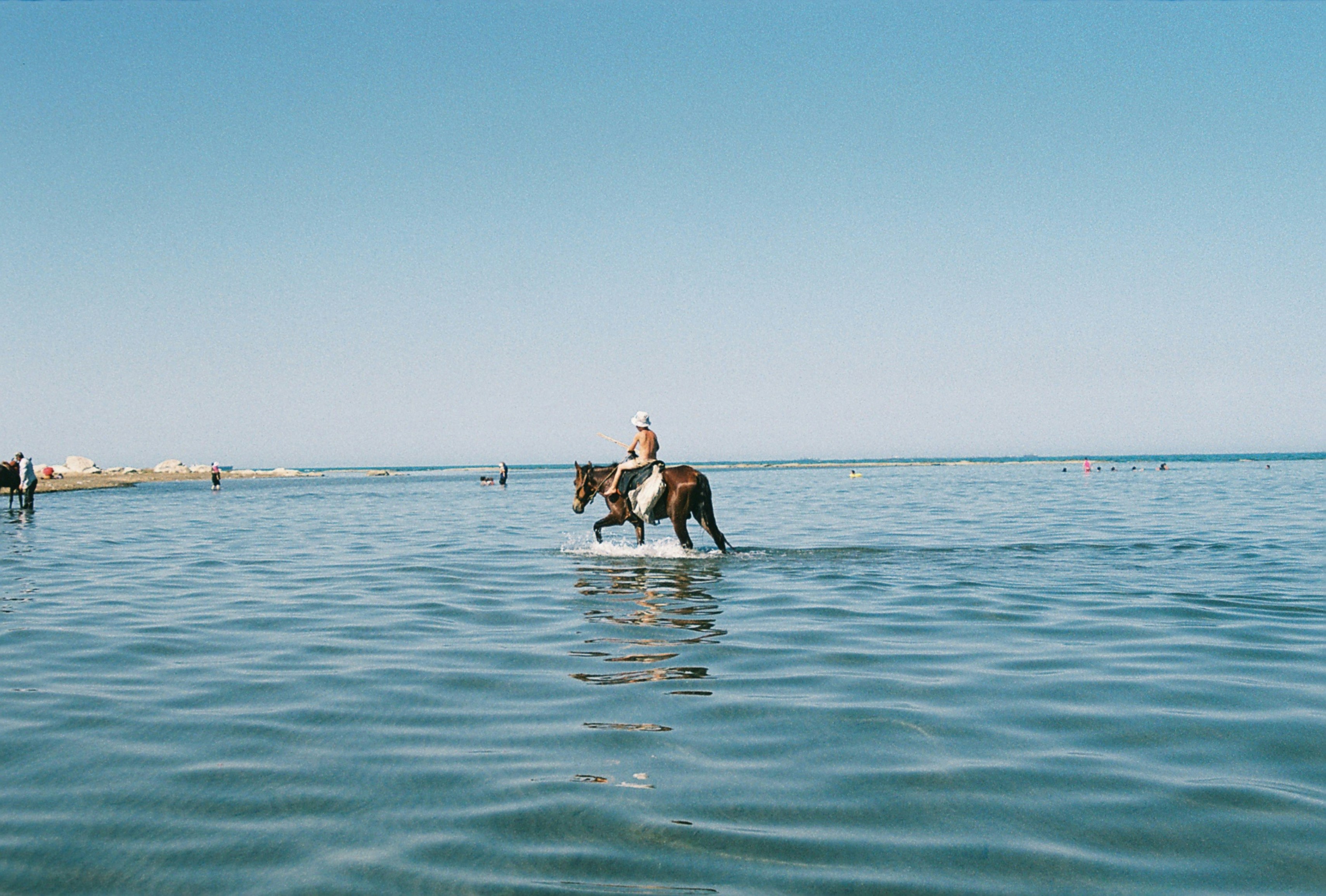 Photo by thesilvafocus