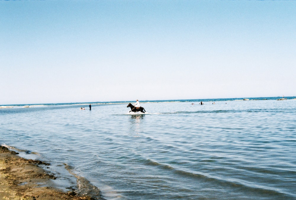 a person riding a horse in a body of water