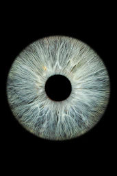 a close up of an eye with a black background