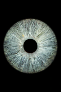 a close up of an eye with a black background