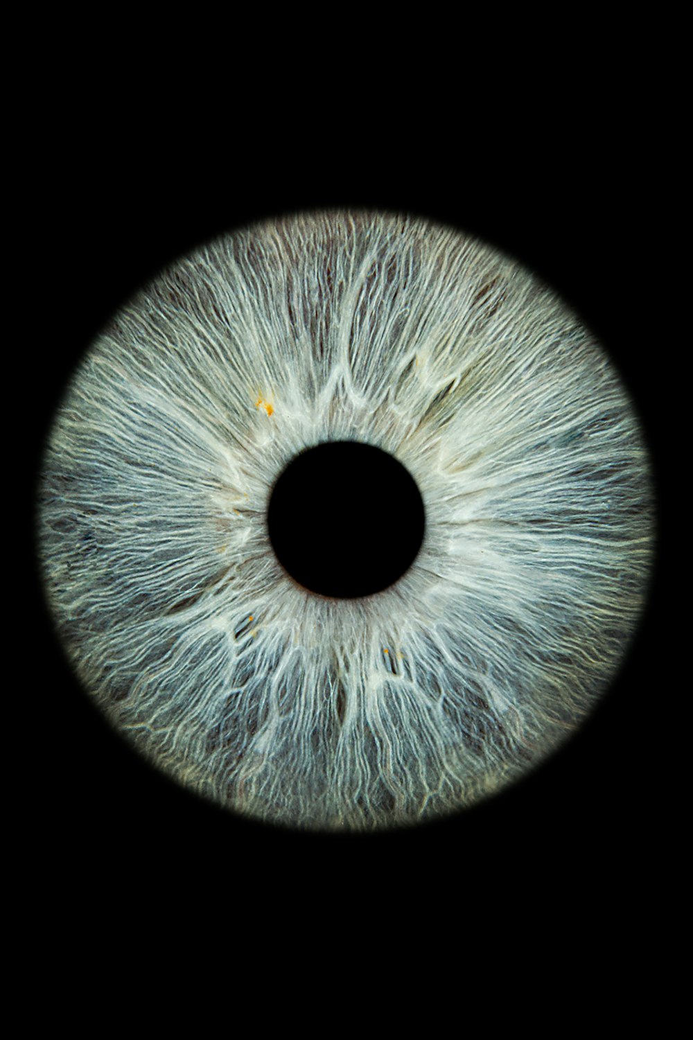 a close up of an eye with a black background