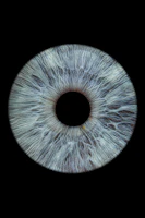 a close up of an eye with a black background