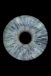 a close up of an eye with a black background