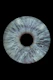 a close up of an eye with a black background