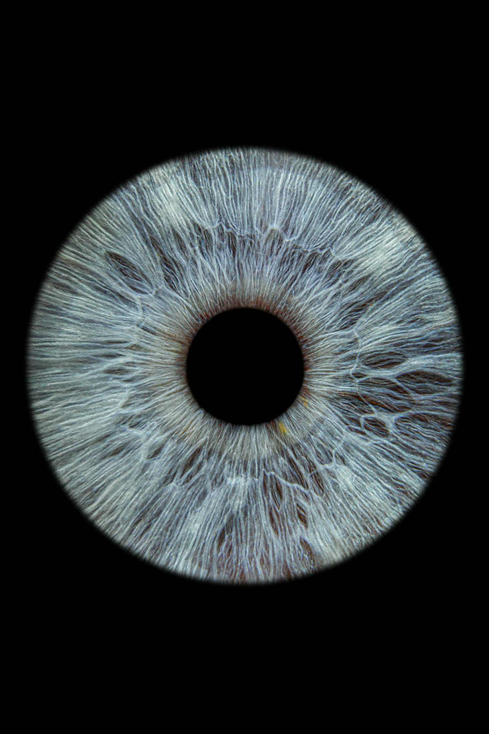 a close up of an eye with a black background