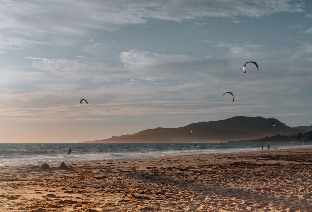 un grupo de personas volando cometas en la cima de una playa de arena