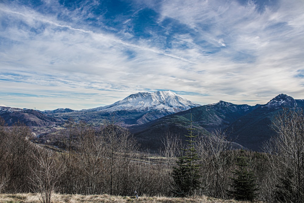 a view of a snowy mountain range with trees in the foreground